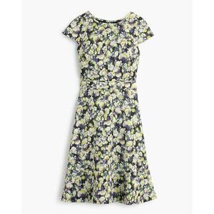 J. Crew Dress Women’s Sz 0 Linen Fit & Flare Cap Sleeve In Clover